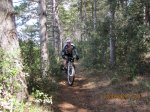IMG_0334.jpg
