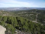IMG_0029.jpg
