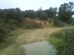 DSC00231.jpg