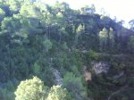 DSC00383.jpg