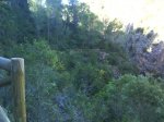DSC00385.jpg