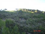 DSC07905.JPG