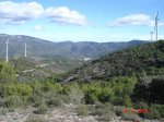 DSC08002.JPG