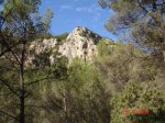 DSC08011.JPG