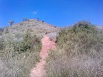 P1058_26-10-09.jpg