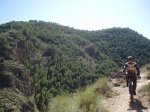 PA250547.jpg