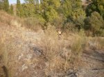PA100054.jpg