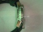 DSC07045a.jpg