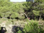 PA250098.jpg