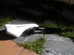 DSCN4971.jpg