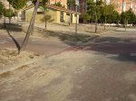 Dsc03446.jpg