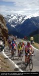 preview-gavia[1].jpg