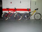 DSC00661.jpg