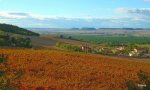 DSCN0413.JPG