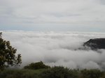 DSC00023.jpg