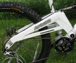 orange-alpine-swing-arm.jpg