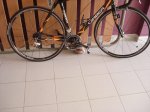 DSC04469.jpg