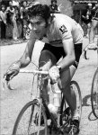 week3-merckx[1].jpg