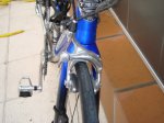 DSC00736.jpg