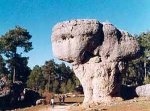 clip_image002.jpg