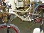 pbpic4209130.jpg