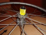 DSC01670.JPG