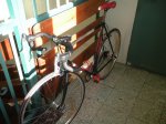 DSCN0519.jpg
