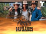 gavilanes.jpg