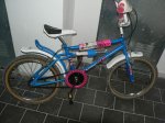 foromtb_001.jpg