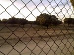 28102009131.jpg