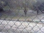 28102009133.jpg