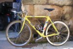 varias 2009 204.jpg