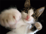 35funny.gif