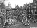 giro10st01-bikes[1].jpg