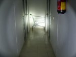DSCI0613_800x600.jpg