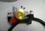 formula r1 polish-gold 2.JPG