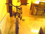 21102009(009).jpg