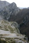 IMG_7490.jpg