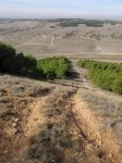 PA296758.jpg