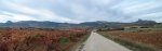 ViÃ±aspre 09 009_stitch.jpg