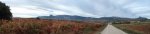 ViÃ±aspre 09 015_stitch.jpg