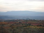 ViÃ±aspre 09 020.jpg
