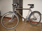 DSC02110.JPG