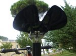 DSCF3731.JPG