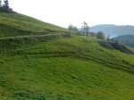 Imagen0018.jpg
