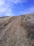 DSC00515.jpg