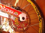 DSC05059.jpg