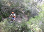 IMG_5006.jpg