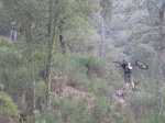 IMG_0773.jpg