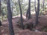 IMG_0727.jpg